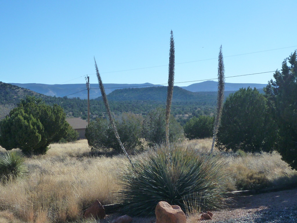 Peaceful scene near Rimrock, AZ