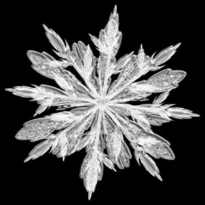 The perfection of a white water crystal against a black background