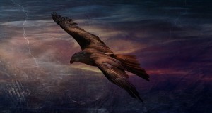 Fears: a brooding, circling dark eagle